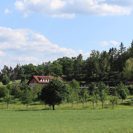 Ubytování pod Haniperkem Vodňany Exteriér fotografie